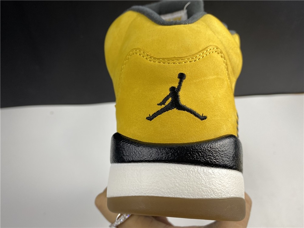 Air JORDAN 5 Tokyo T23 454783-701