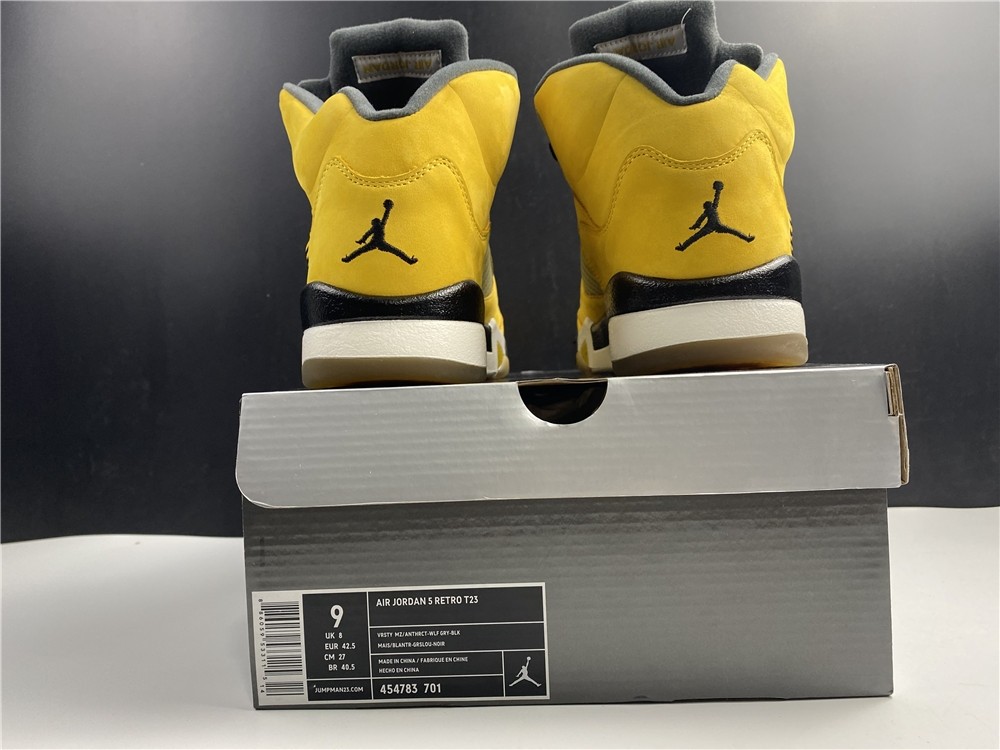 Air JORDAN 5 Tokyo T23 454783-701