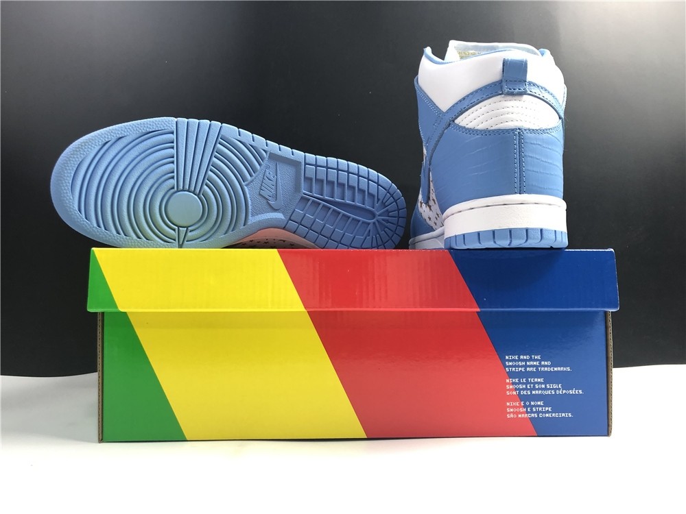 Nike SB DUNK High PRO 307385-141