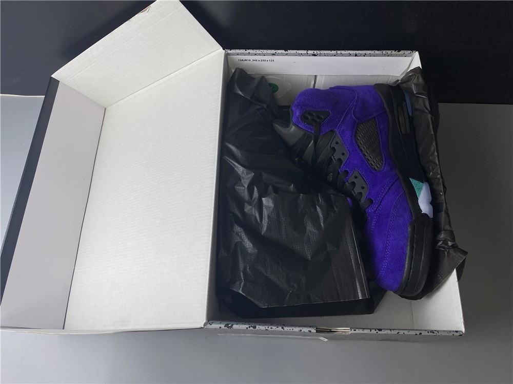 Air Jordan 5 Alternate Grape 136027-500