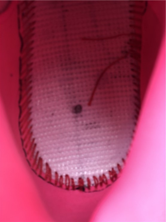 Air Jordan 12 GS “Arctic Punch” 510815-101