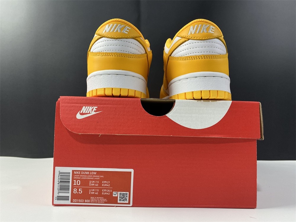NIKE DUNK LOW  DD1503-800