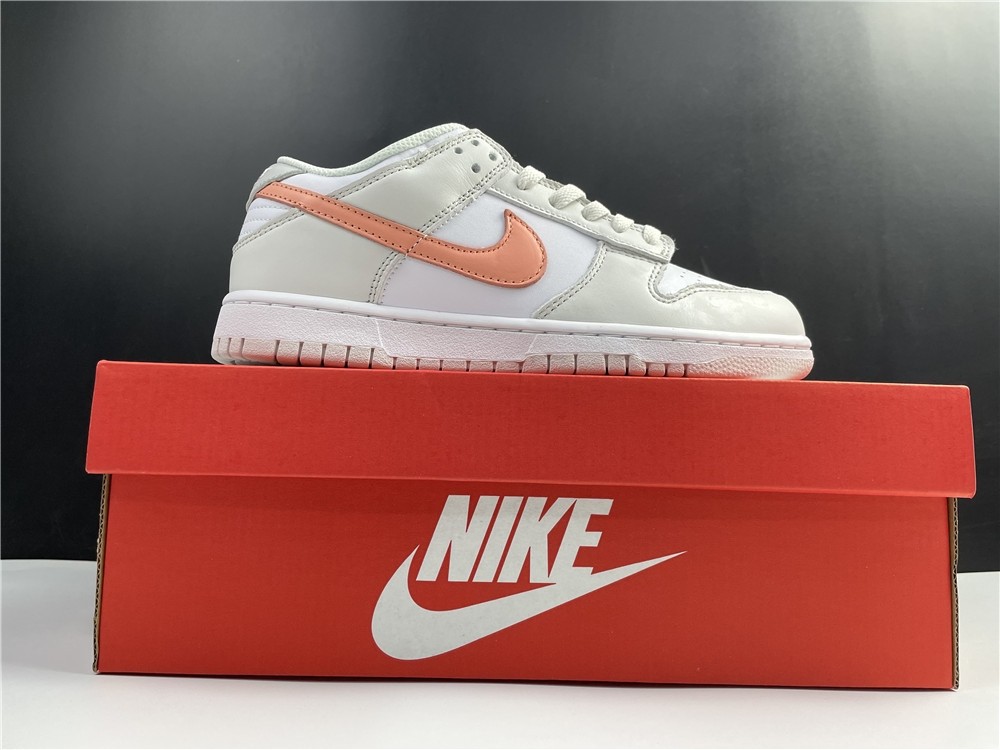 Nike Dunk Low  CW1590-101