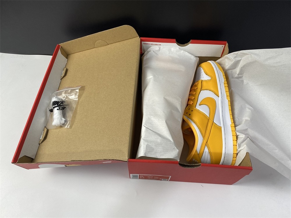 NIKE DUNK LOW  DD1503-800