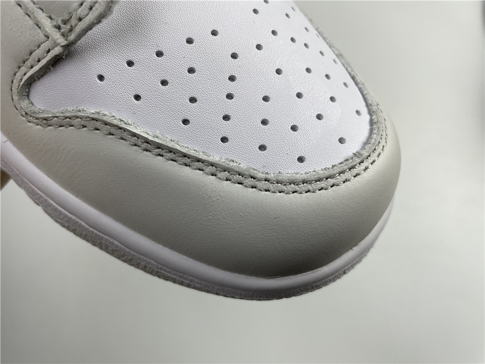 Nike Dunk Low  CW1590-101
