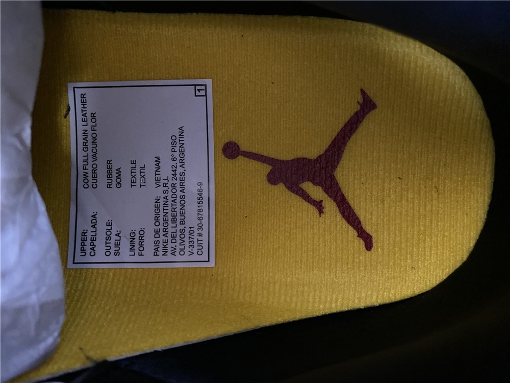 Air Jordan 3 SE “Animal Instinct 2.0” CV3583-003