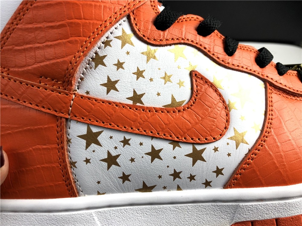 Nike SB DUNK High PRO 307385-181
