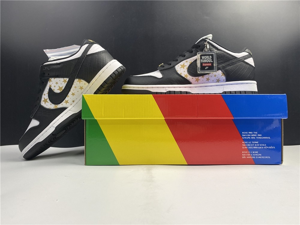 S*p*e x Nike SB Dunk Low DH3228-102