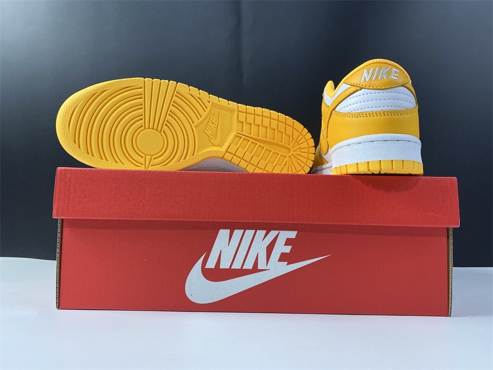 NIKE DUNK LOW  DD1503-800