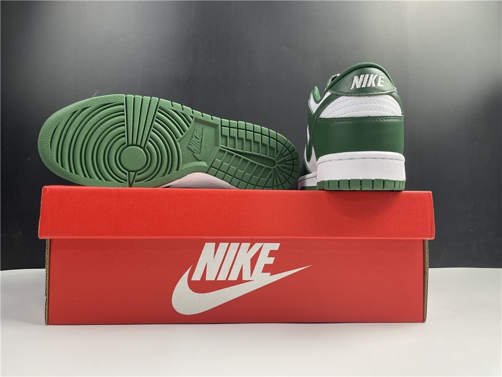 Nike DUNK Low Retro DD1391-101
