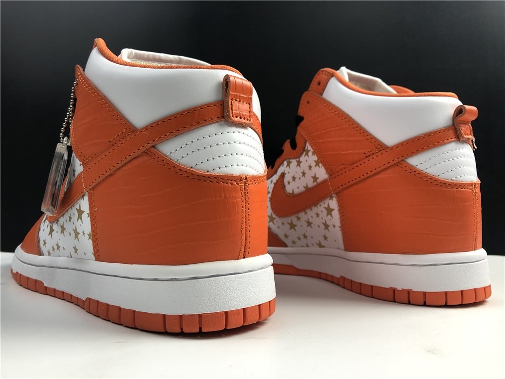 Nike SB DUNK High PRO 307385-181