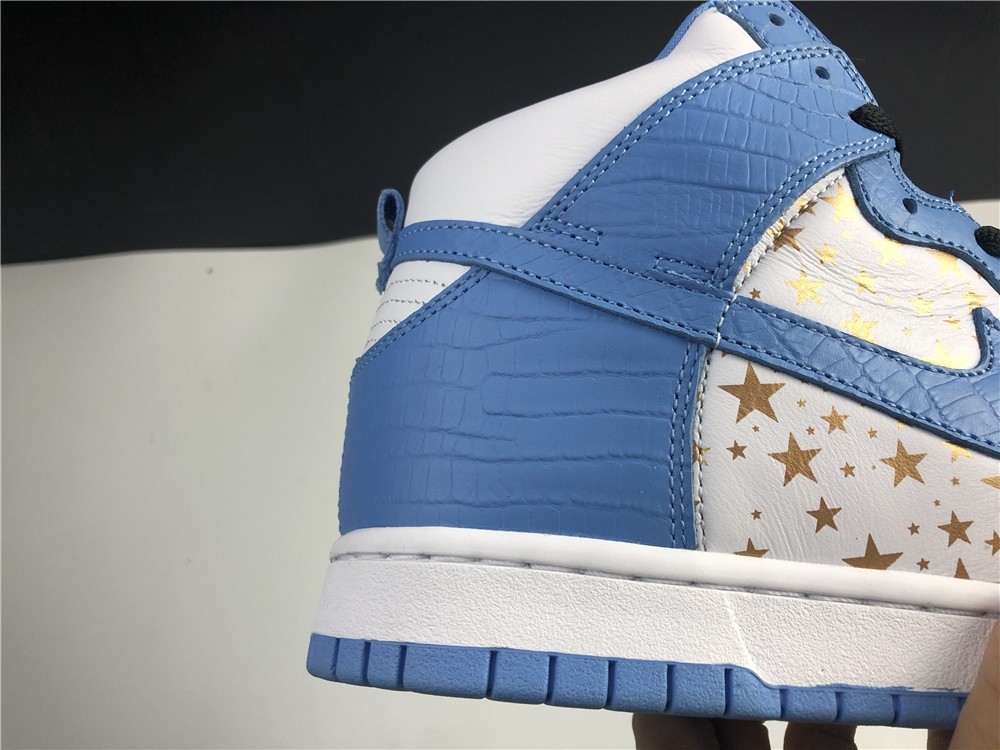 Nike SB DUNK High PRO 307385-141
