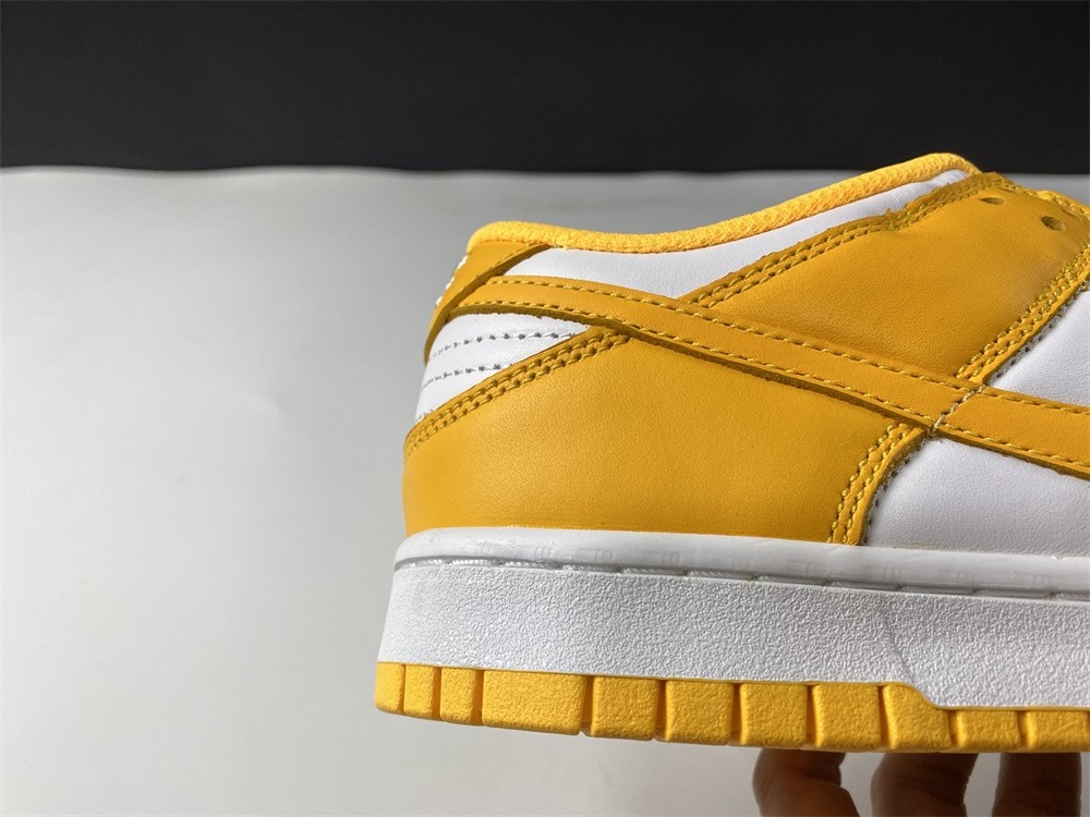 NIKE DUNK LOW  DD1503-800