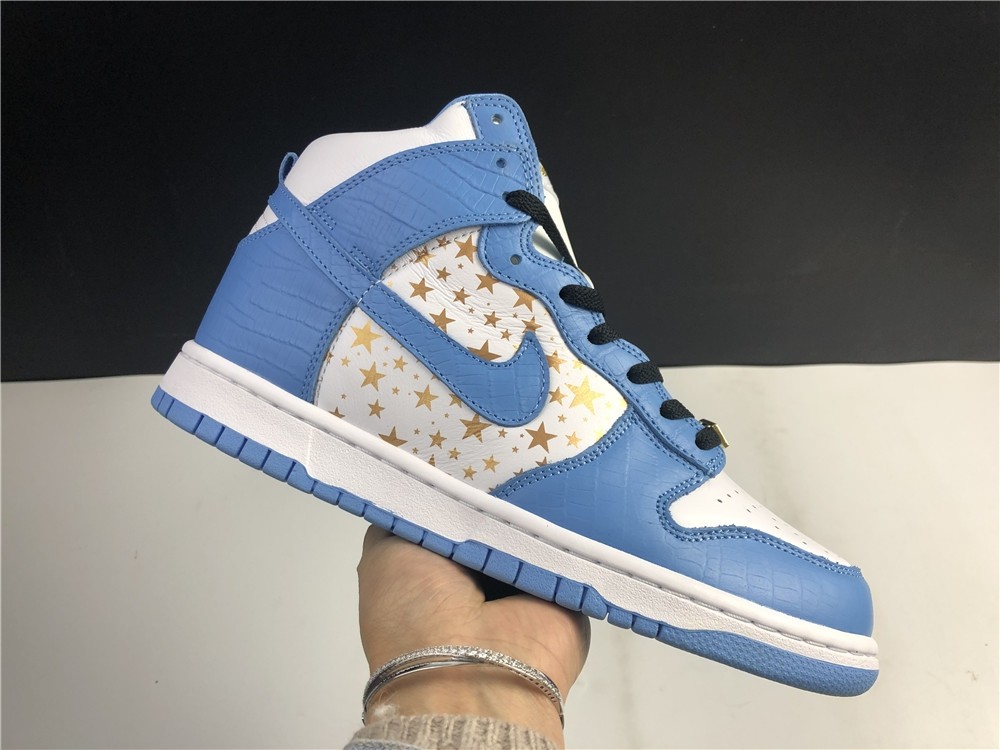 Nike SB DUNK High PRO 307385-141