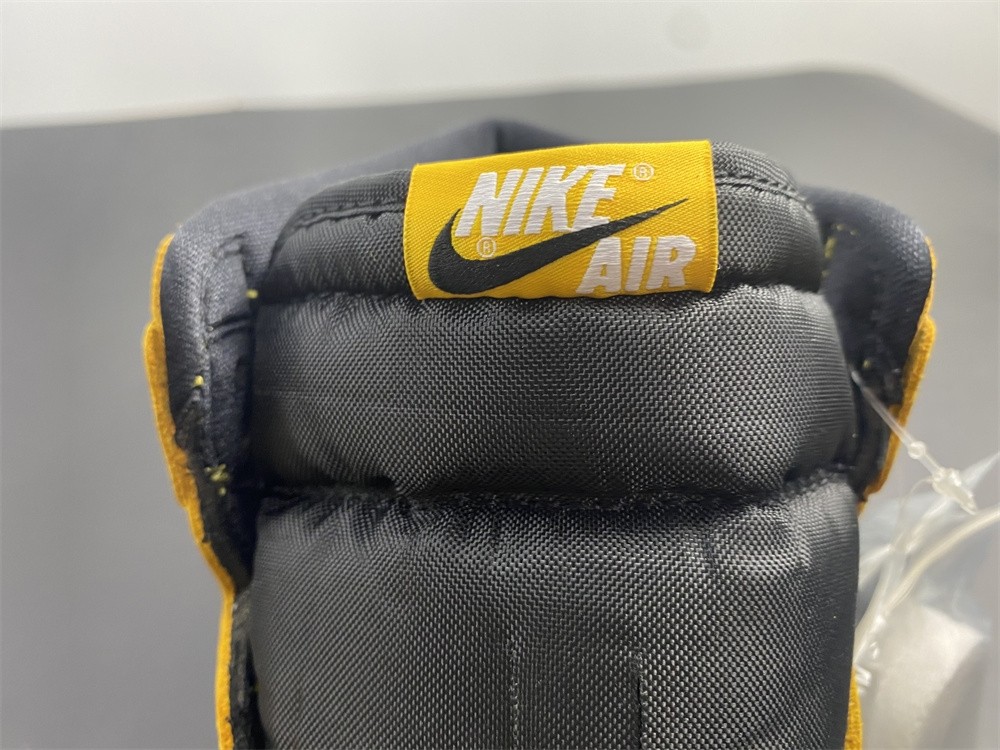 Air Jordan 1 High OG “Pollen" E 555088-701