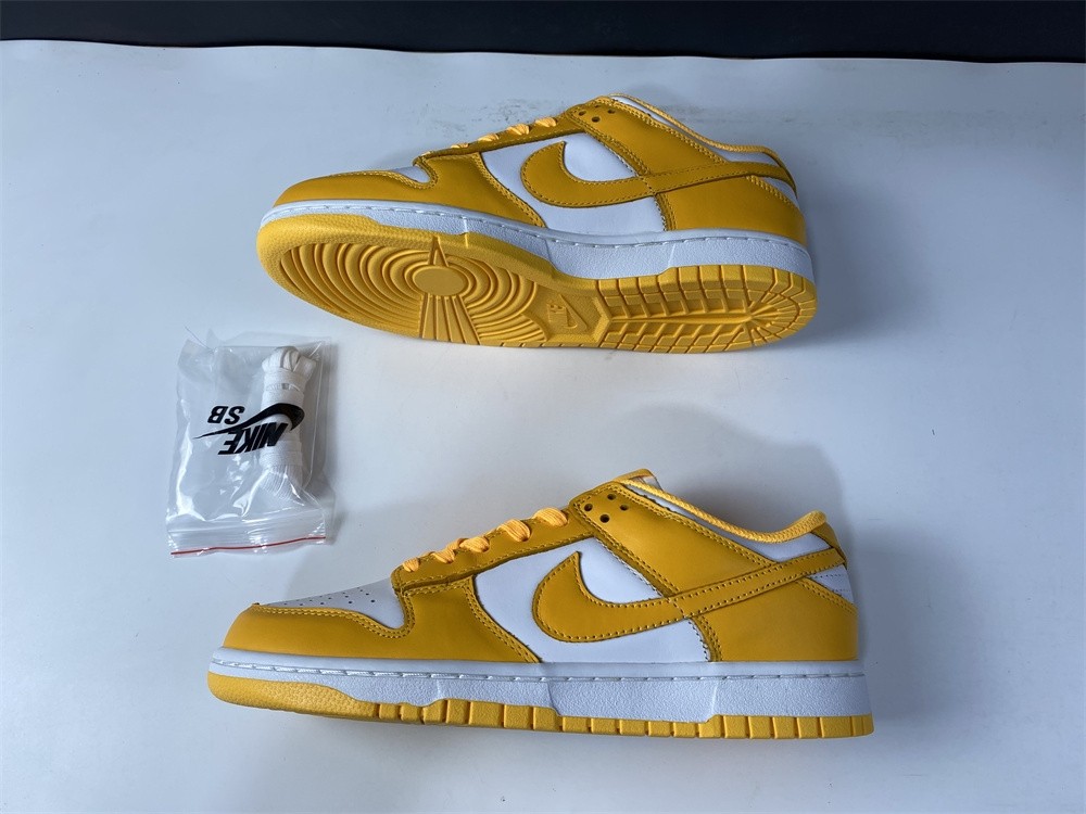NIKE DUNK LOW  DD1503-800