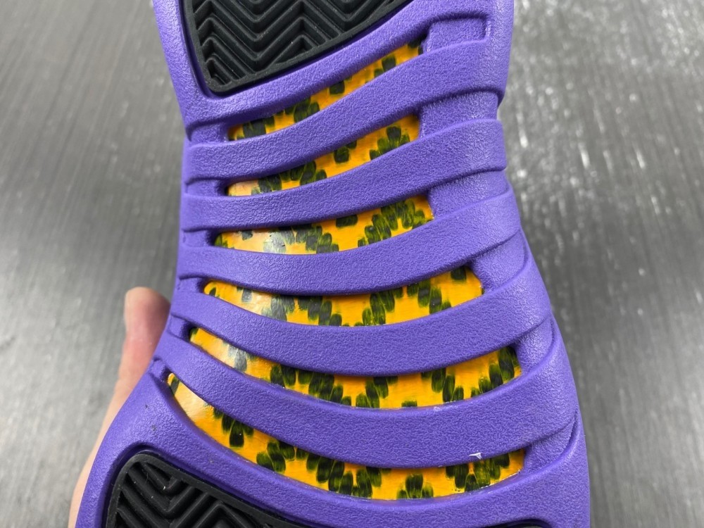 Air Jordan 12 Field Purple CT8013-057
