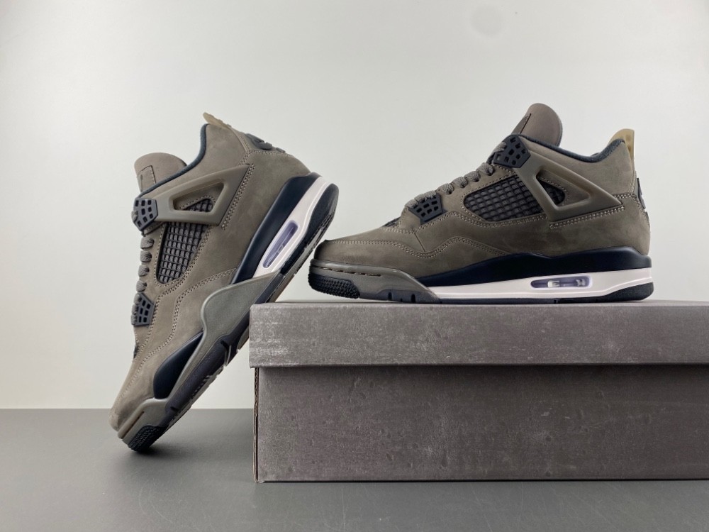 Air Jordan 4 Retro Cave Stone/Black/Moon Particle FV5029-200