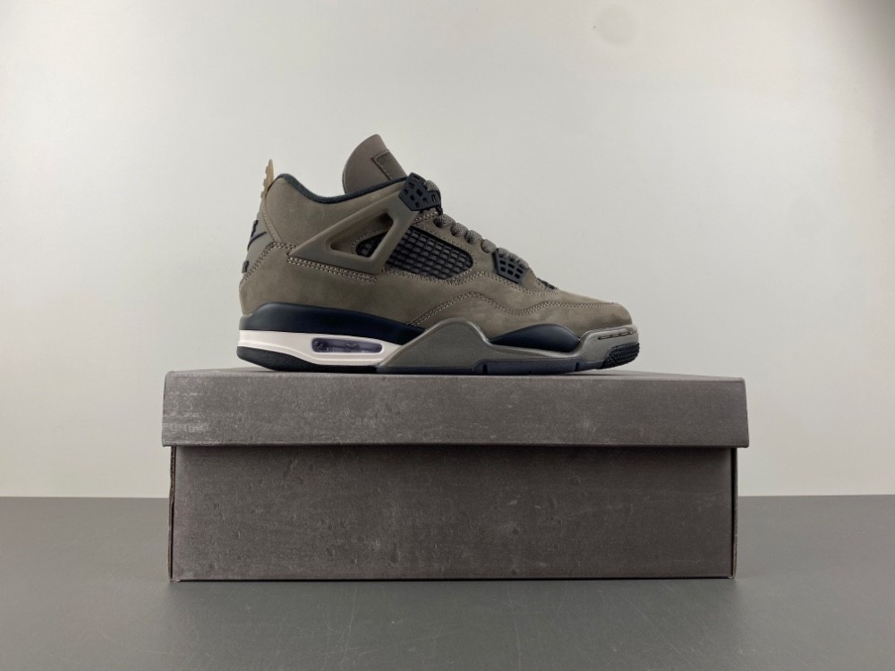 Air Jordan 4 Retro Cave Stone/Black/Moon Particle FV5029-200