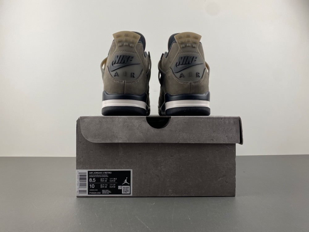 Air Jordan 4 Retro Cave Stone/Black/Moon Particle FV5029-200