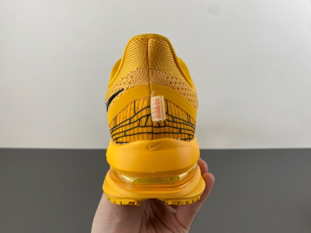 Nike Pegasus Premium 