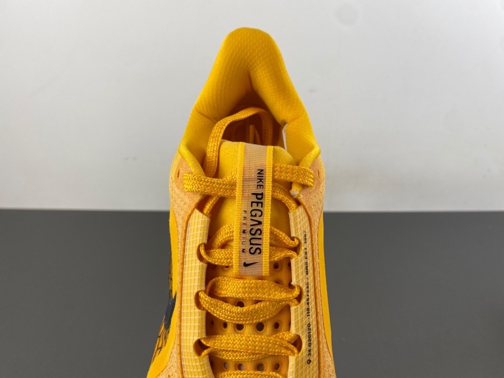 Nike Pegasus Premium 