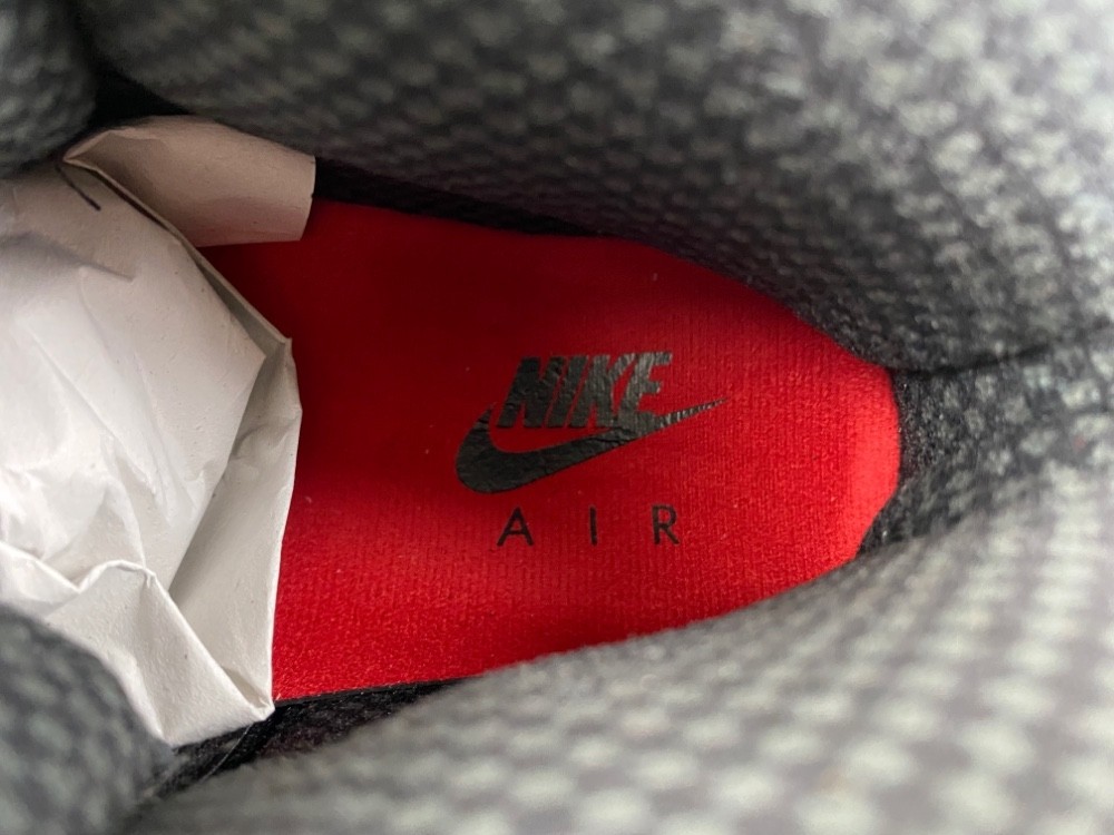 Air Jordan 10 Retro