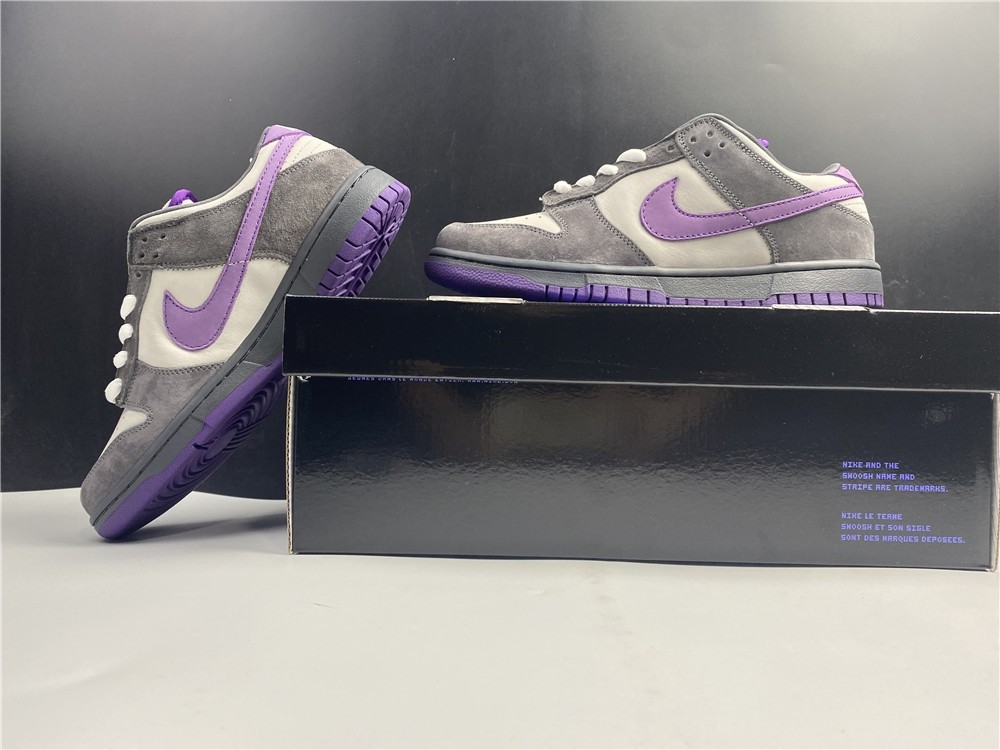 NIKE DUNK LOW PRO SB 304292-051