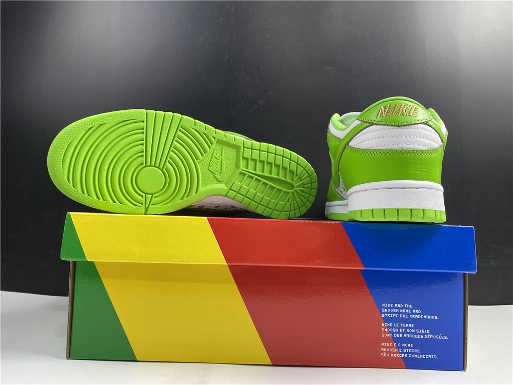 S*p*e x Nike SB Dunk Low DH3228-101