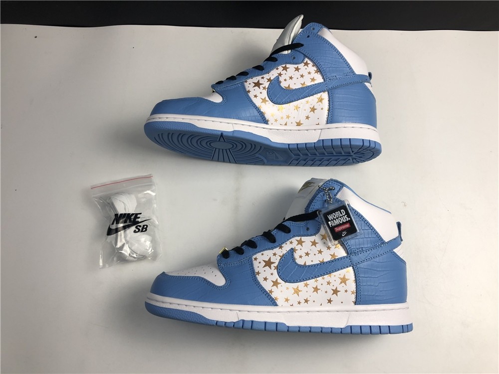 Nike SB DUNK High PRO 307385-141