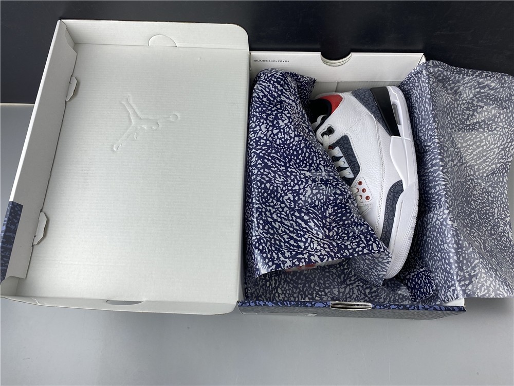 Air Jordan 3 Retro SE 