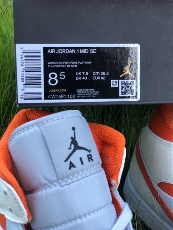 Air Jordan 1 Mid  CW7591-100