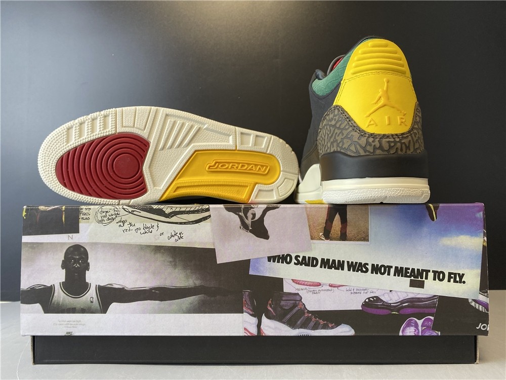 Air Jordan 3 SE “Animal Instinct 2.0” CV3583-003