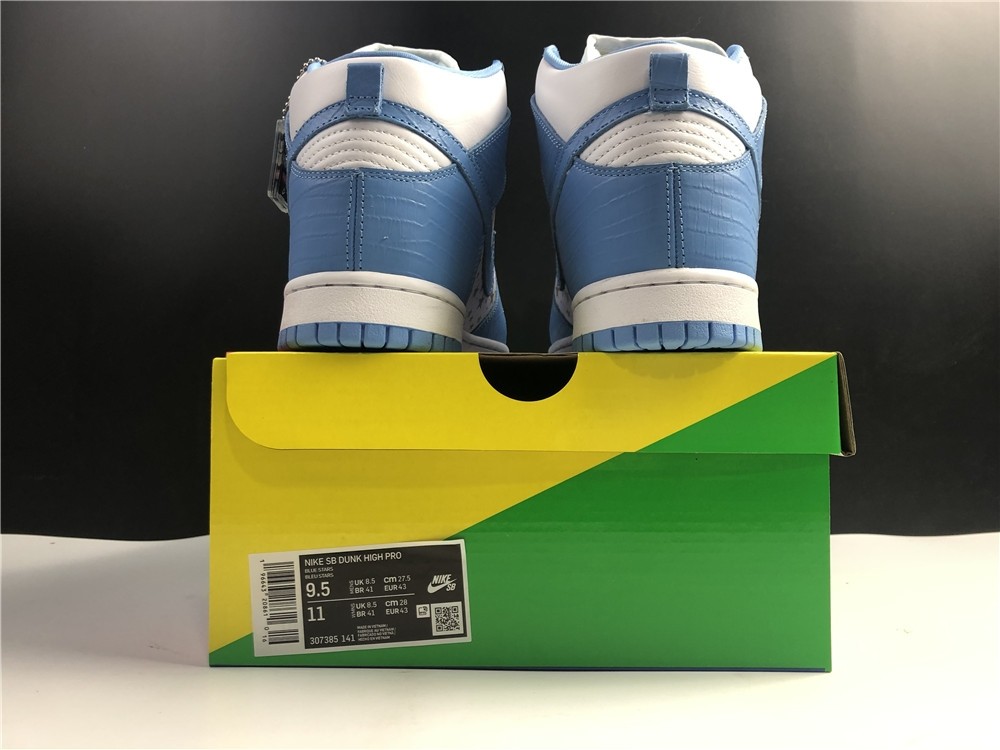 Nike SB DUNK High PRO 307385-141