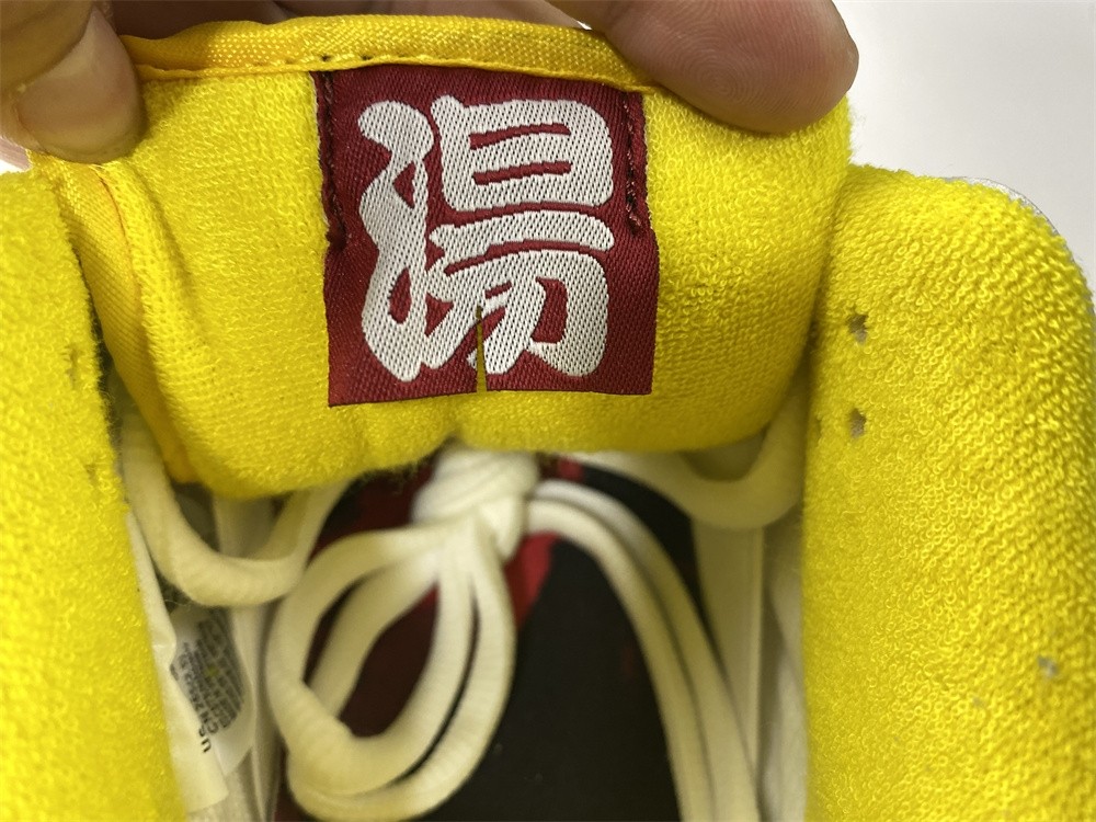 How the FTC x Nike SB Dunk Low Looks On-Feet  DH7687-400