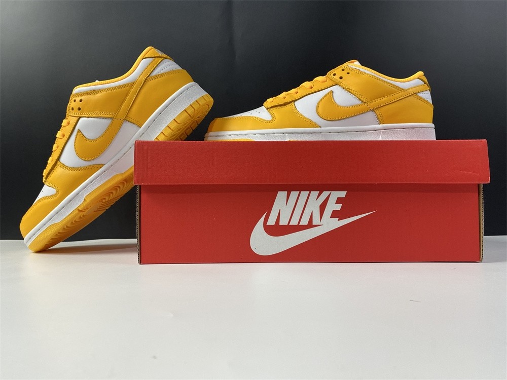 NIKE DUNK LOW  DD1503-800