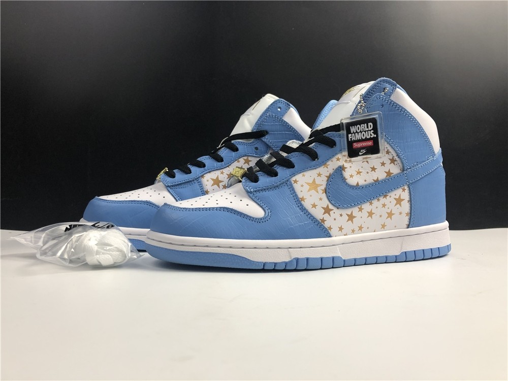 Nike SB DUNK High PRO 307385-141